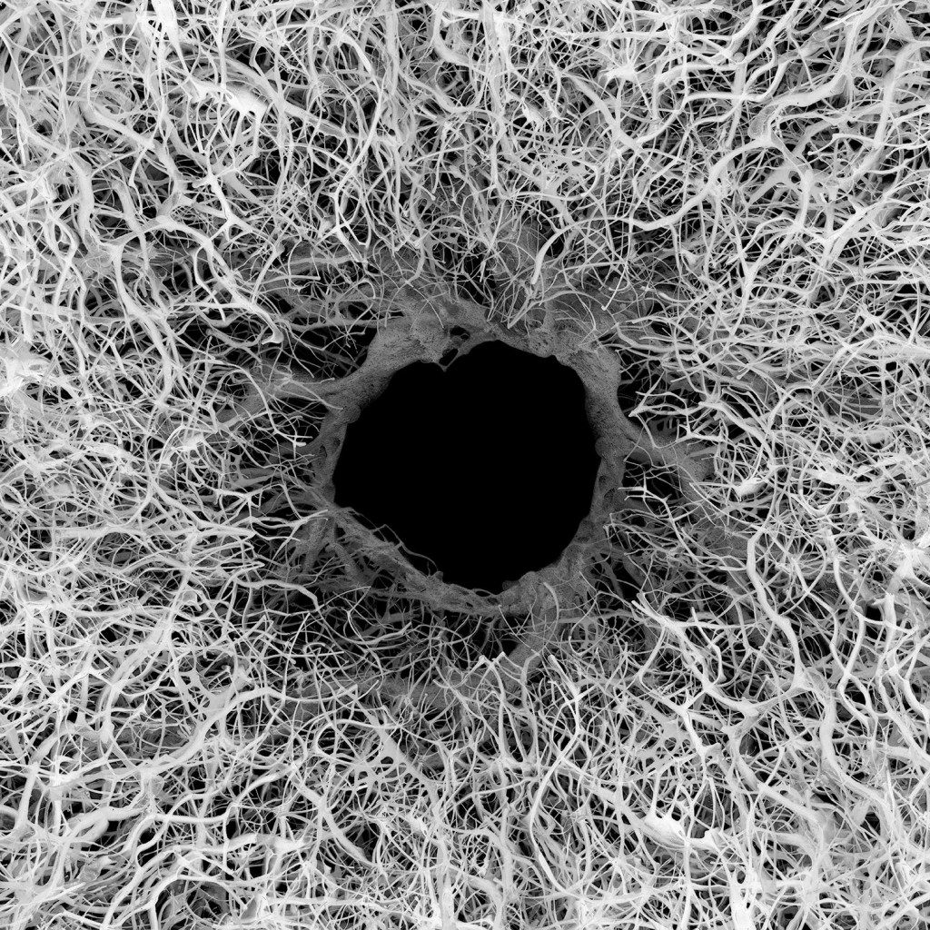 Toni Essel: Valokudos,&nbsp;24.9.–6.10.2024