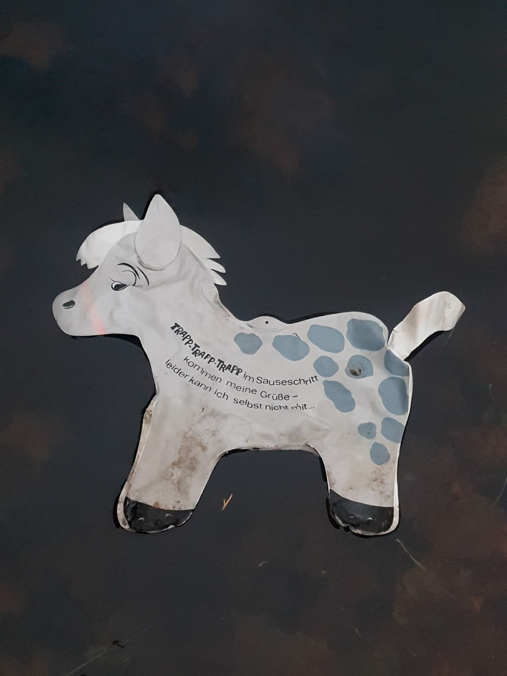 Noora Ahonen: Terveiseni saapuvat nopeasti – valitettavasti en pysty itse tulemaan paikalle,&nbsp;8.–26.1.