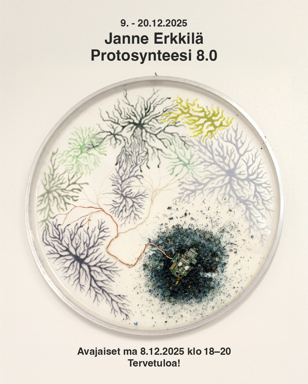 Janne Erkkilä: Protosynteesi&nbsp;9.–20.12.2025